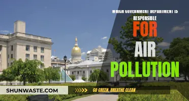 Air Pollution: Who's Responsible?