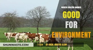 Eco-Friendly Grazing: Best Animals for Sustainable Land Management