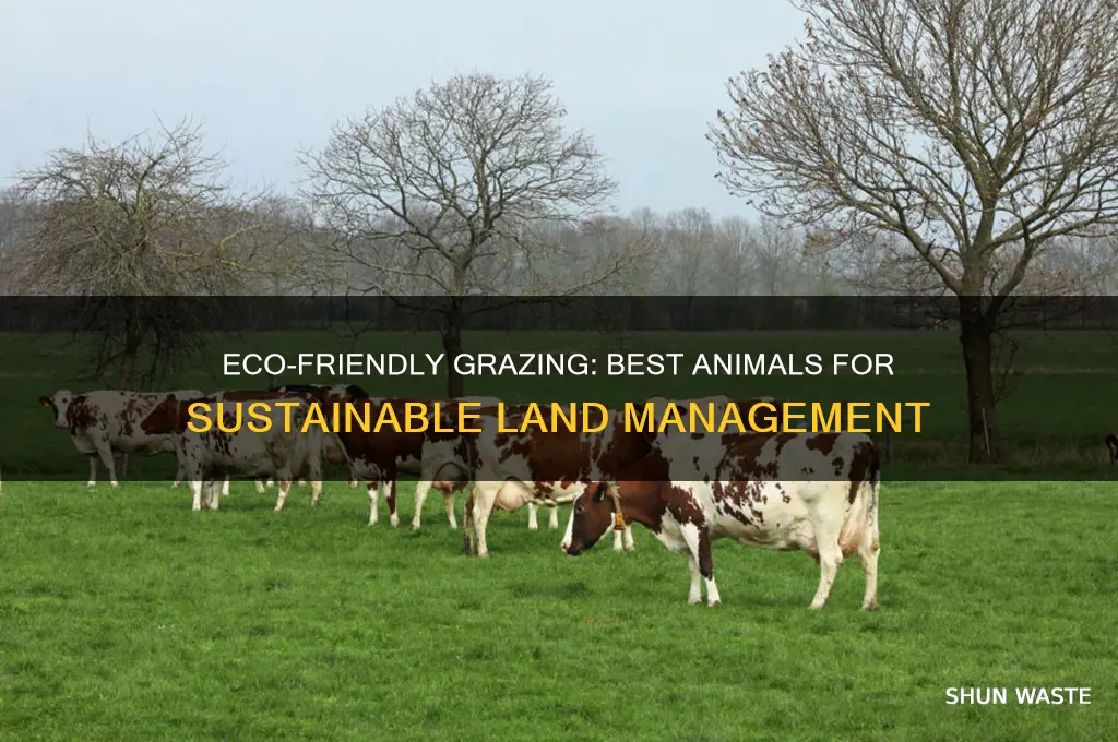 which grazin animal good for environment