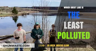 Superior Lake: The Cleanest of the Great Lakes