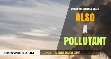 Greenhouse Gas and Pollutant: A Dual Threat