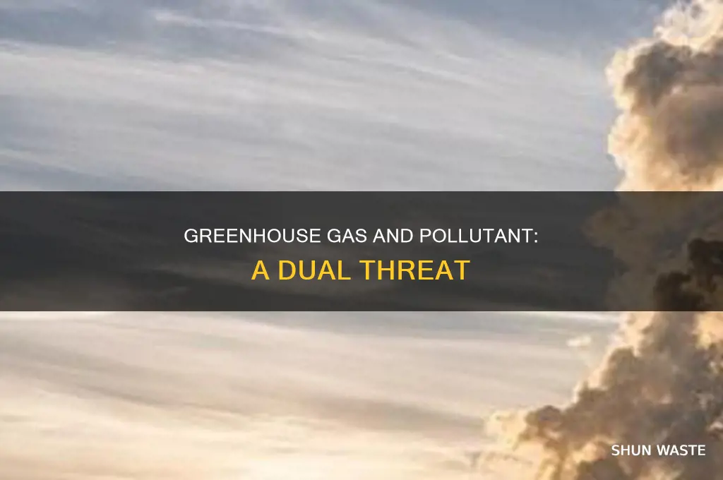which greenhouse gas is also a pollutant