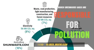 Greenhouse Gases: The Main Culprits of Pollution