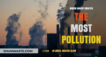 Who Pollutes the Most?