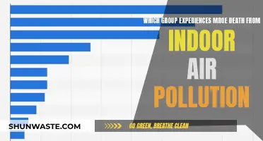 Indoor Air Pollution: Who Suffers More?