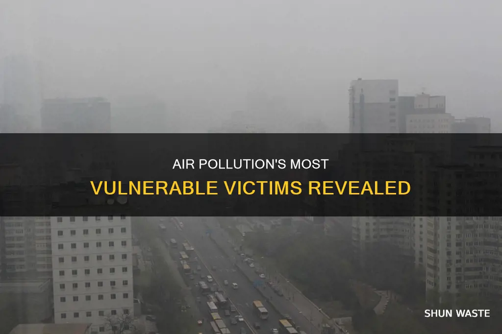 which group of people will air pollution affect the most