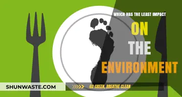 Eco-Friendly Choices: Which Option Leaves the Lightest Environmental Footprint?