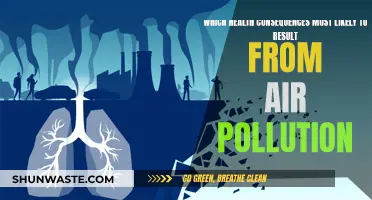 Air Pollution: Health Hazards and Risks