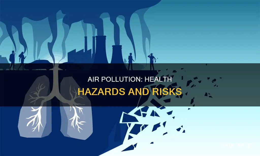 which health consequences most likely to result from air pollution
