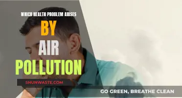 Air Pollution: A Slow Poison for Health