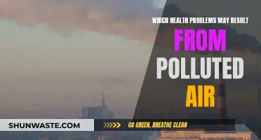 Air Pollution: Understanding the Health Risks