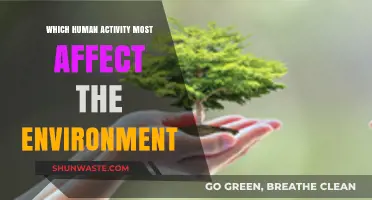 Human Activities and Their Environmental Impact: The Most Damaging Practices