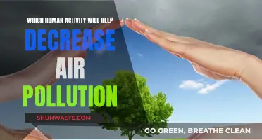 Human Actions to Reduce Air Pollution