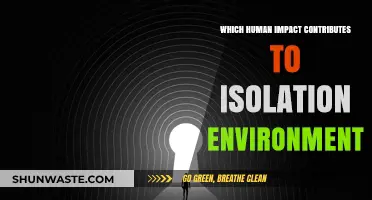 Human Activities Fueling Environmental Isolation: A Growing Crisis