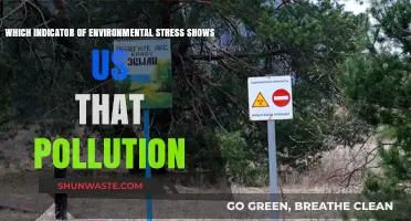 Pollution's Impact: Nature's Warning Signs of Environmental Stress