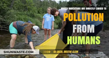 Human Pollution Indicators: What to Watch For