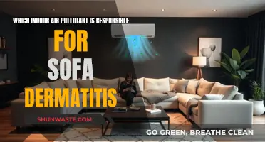 Sofa Dermatitis: Uncover the Indoor Air Toxins Within