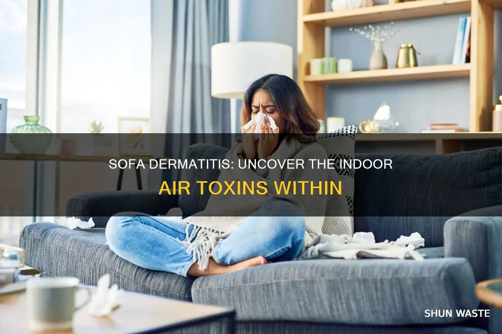 which indoor air pollutant is responsible for sofa dermatitis