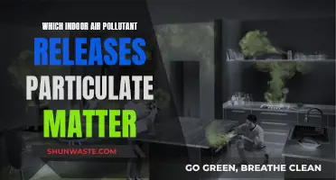 Air Pollutants: The Silent Particulate Matter Danger in Homes