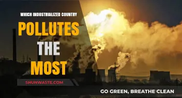 Industrialized Nations: Who's the Worst Polluter?