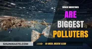 The Worst Polluting Industries and Their Impact
