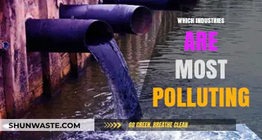 The Worst Polluting Industries: A Global Crisis