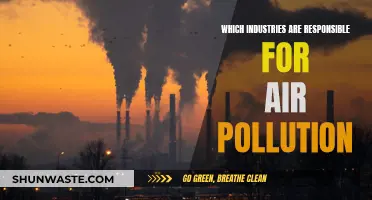 Air Pollution: Industries to Watch Out For