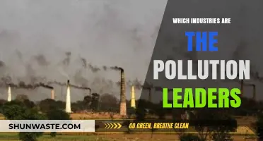 Pollution's Worst Offenders: Industries Leading the Pack