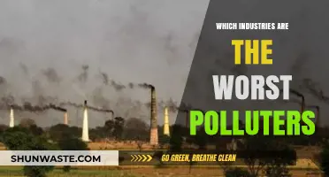 The Worst Polluting Industries: Who's Responsible?