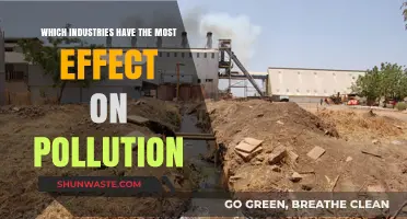 Industries Polluting Our Planet: Who's the Worst Offender?
