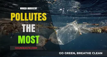 The Worst Polluting Industries Revealed