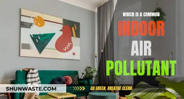 Air Quality Alert: Indoor Pollutants You Need to Know