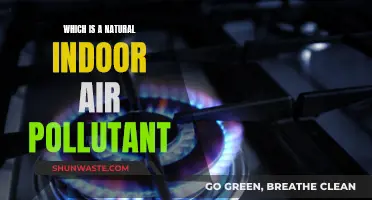 Natural Indoor Air Pollutants: Are You at Risk?