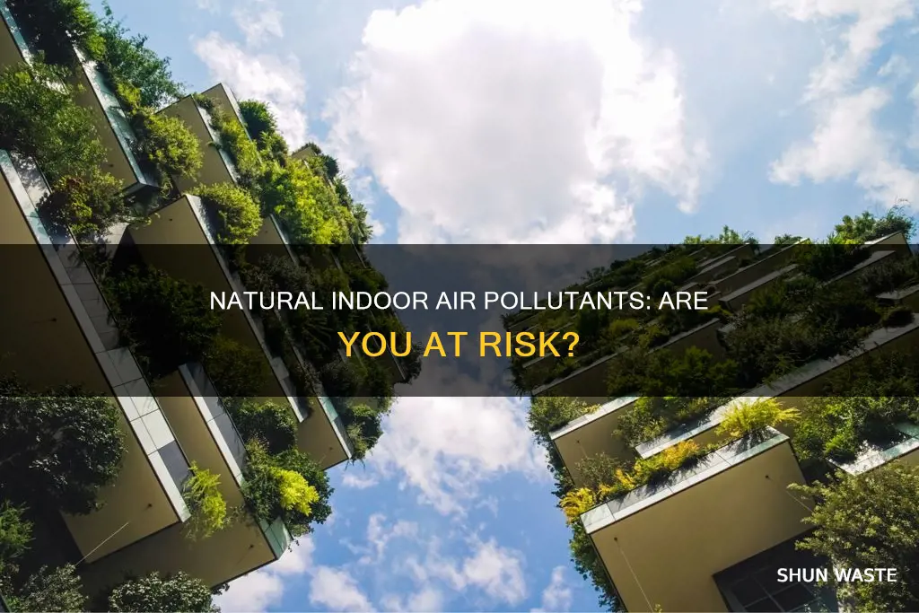 which is a natural indoor air pollutant