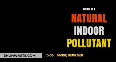 Natural Indoor Pollutants: What's Lurking in Your Home?