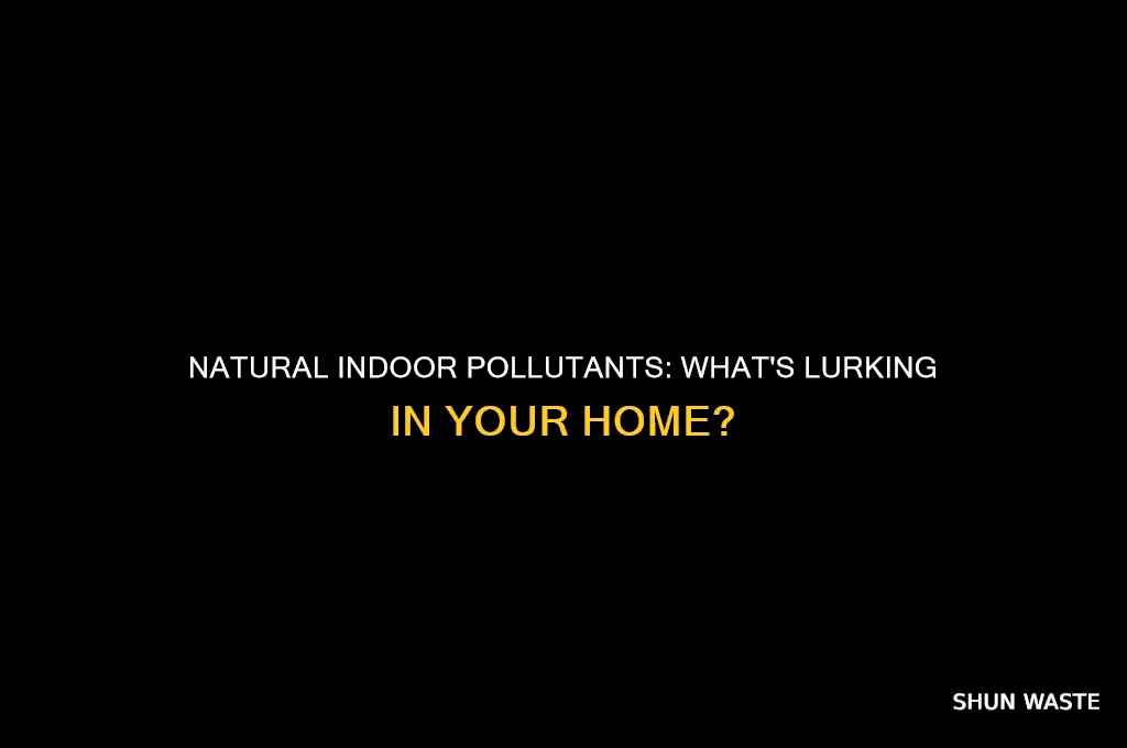 which is a natural indoor pollutant