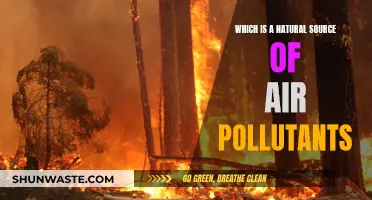 Natural Air Pollutants: The Unseen Threat