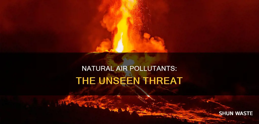 which is a natural source of air pollutants