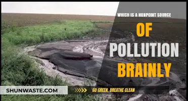 Understanding Nonpoint Source Pollution: What, Why and How?