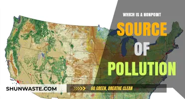 Understanding Nonpoint Source Pollution: What, Why, and How?
