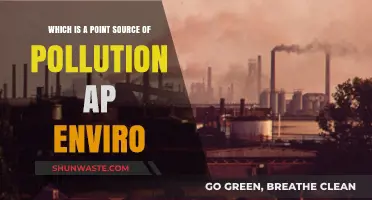 Understanding Point-Source Pollution: Causes and Effects