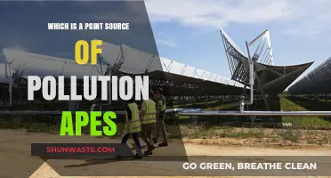Understanding Point-Source Pollution: Identifying the Culprits