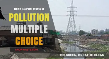Point-Source Pollution: What's the Culprit?