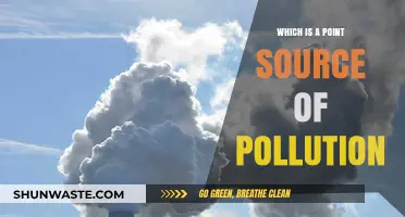 Understanding Point-Source Pollution: Causes and Effects