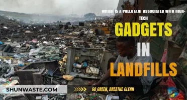 High-Tech Trash: Toxic Chemicals in Landfills