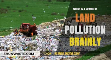 Land Pollution: Identifying the Main Culprits