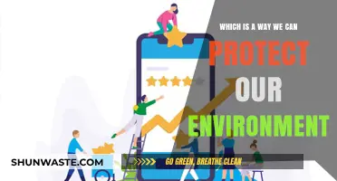 Sustainable Practices: Simple Ways to Protect Our Environment Daily