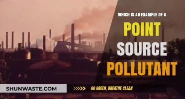 Sources of Point-Source Pollution and Their Impact