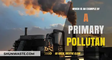 Understanding Primary Pollutants: Examples and Their Impact