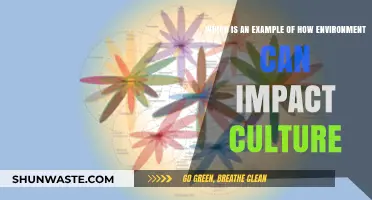 How Environmental Factors Shape Cultural Practices and Traditions